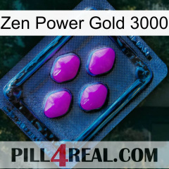 Zen Power Gold 3000 04